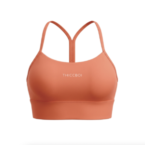 ThiccBoi Orange Y-Line Bra *Earned